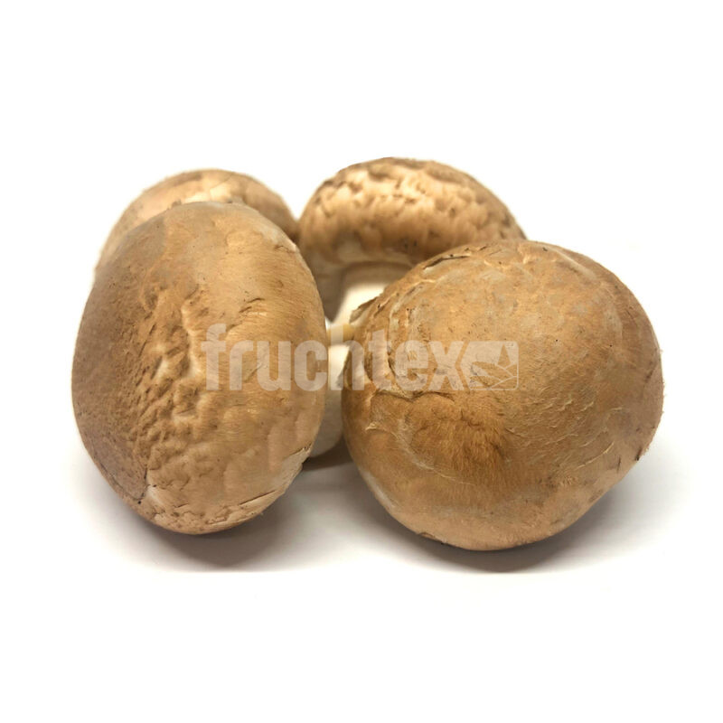 Champignons