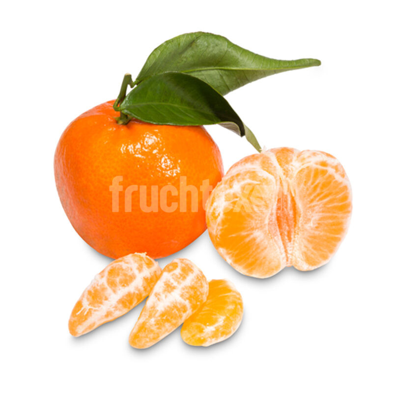 Clemeniten-Blatt