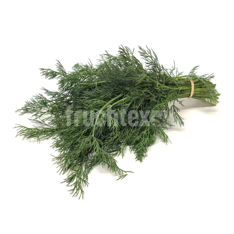 Dill