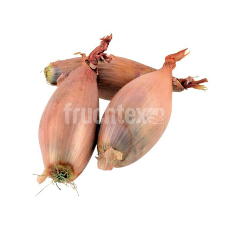 Echalotten