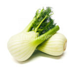 Fenchel-150x150.jpg?img_width=150&img_height=150