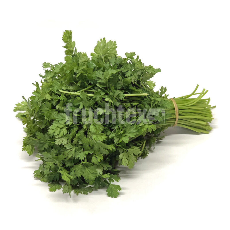Kerbel