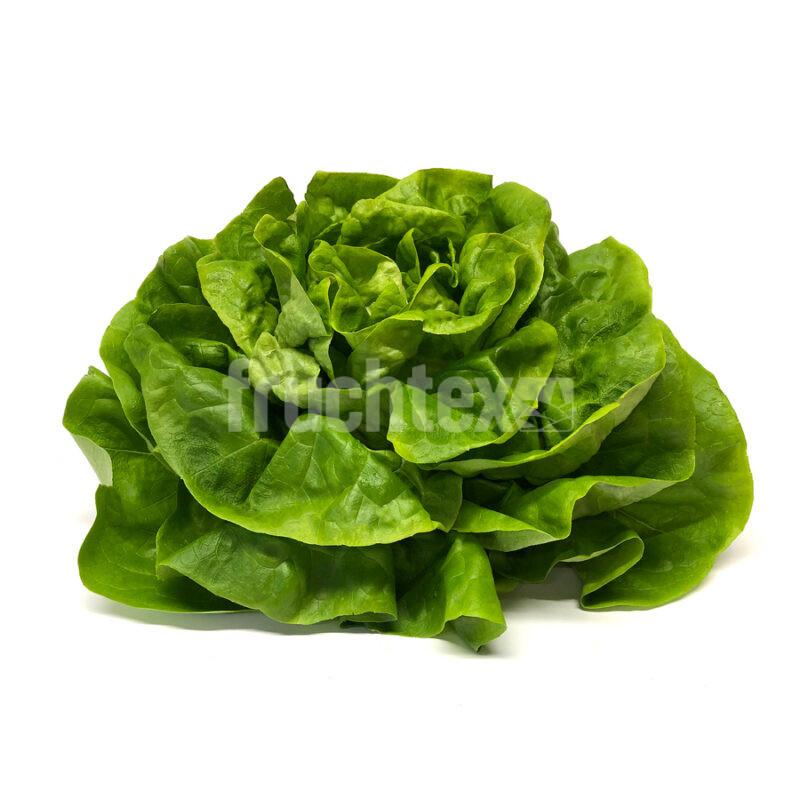 Kopfsalat