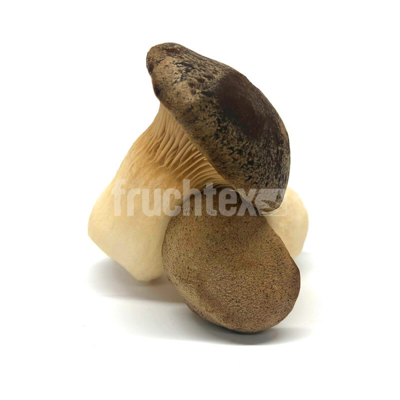 Kräuterseitling
