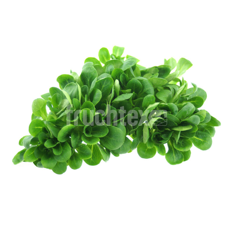 Nüsslisalat