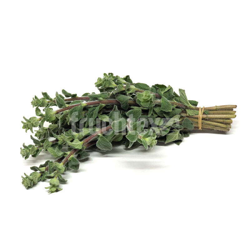 Oregano
