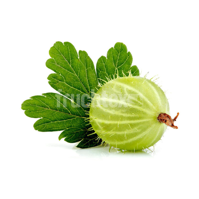 Stachelbeeren