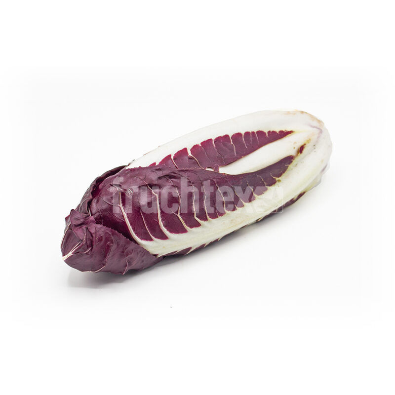 Trevisano