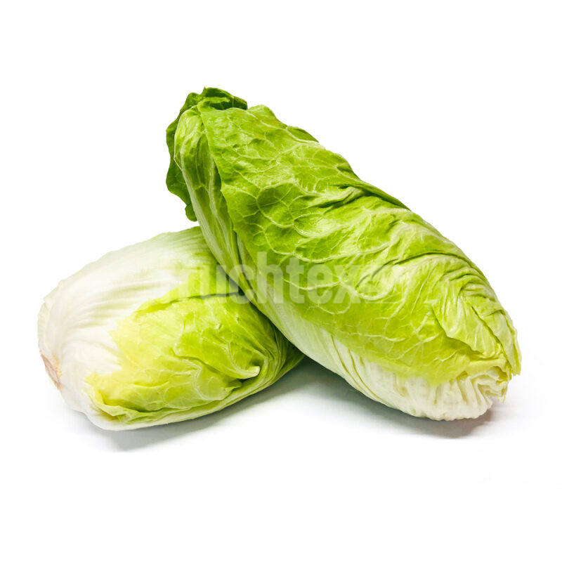 Zuckerhut