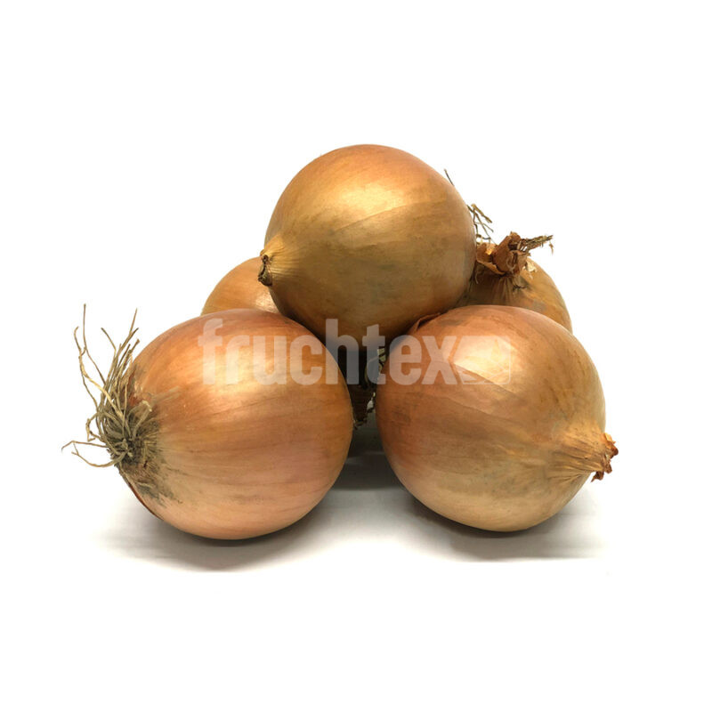 Zwiebel