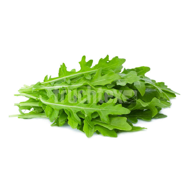 Rucola