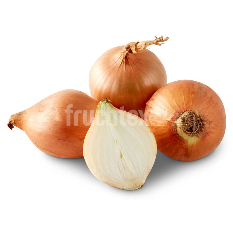 Saucenzwiebel